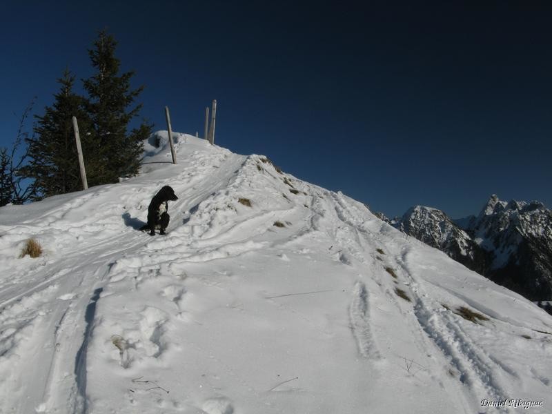 Le sommet du Pt1725, Rocher du Midi et Gummfluh à droite