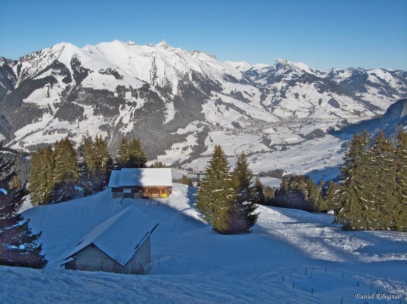 Le restaurant des Monts Chevreuils
