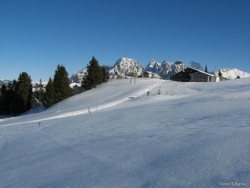 La ferme Le Fenil aux Veaux