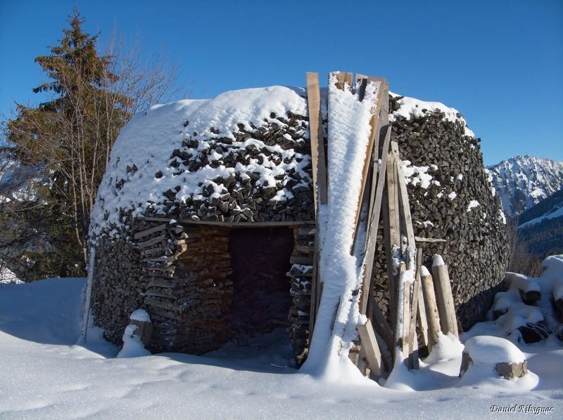 Joli tas de bois au Fenil aux Veaux
