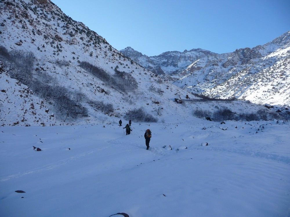 toubkal: aremd