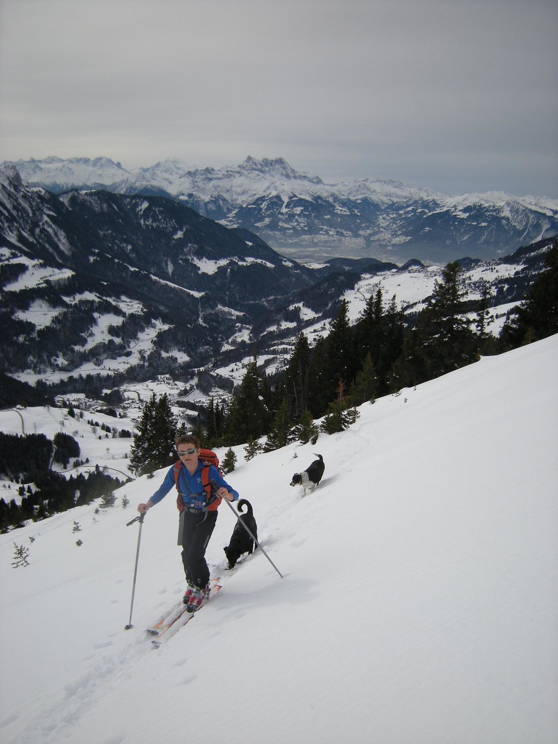 Mont d'or. Les toutous tirent la langue!