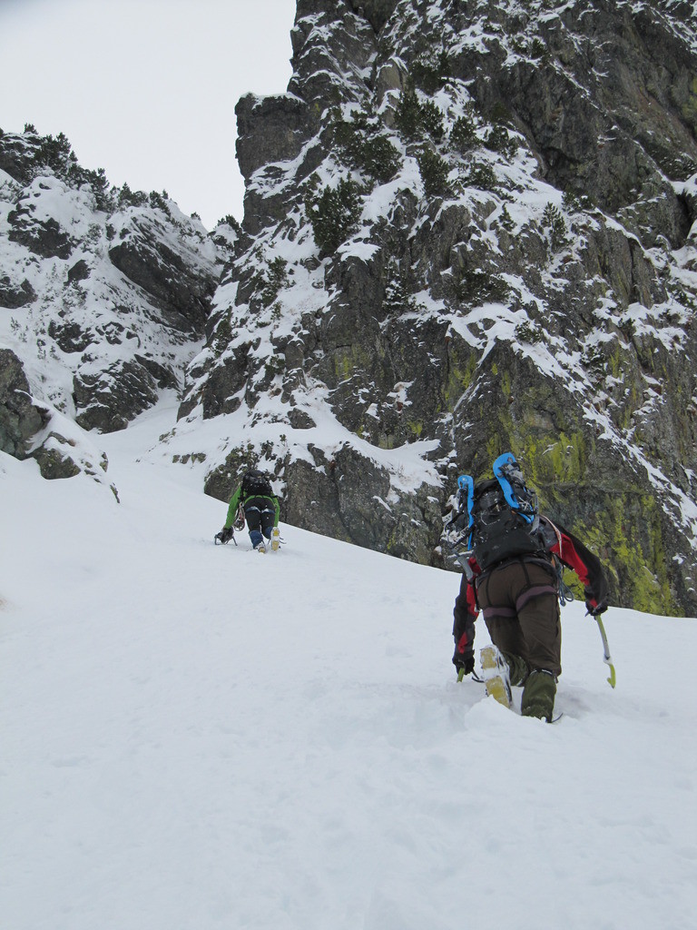 Attaque de la goulotte du Chien