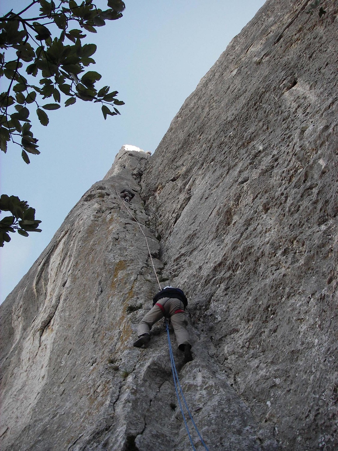 DIEDRE DES PARISIENS AUX DENTELLES DE MONTMIRAIL