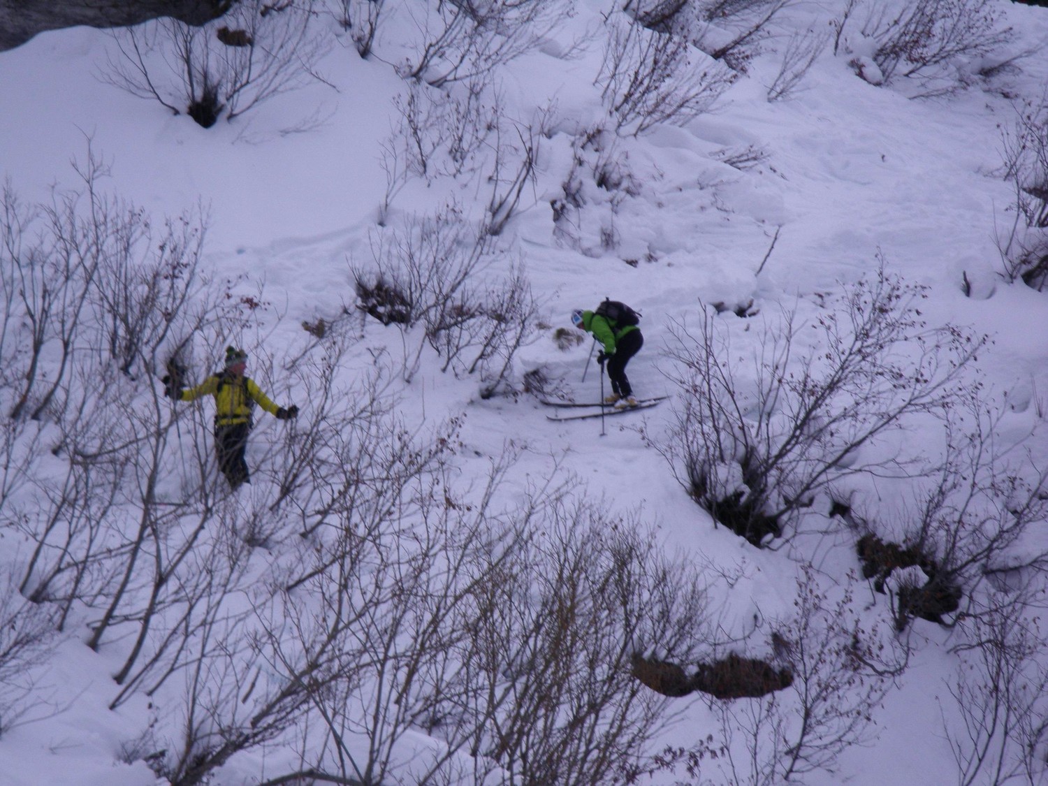 Descente végétale