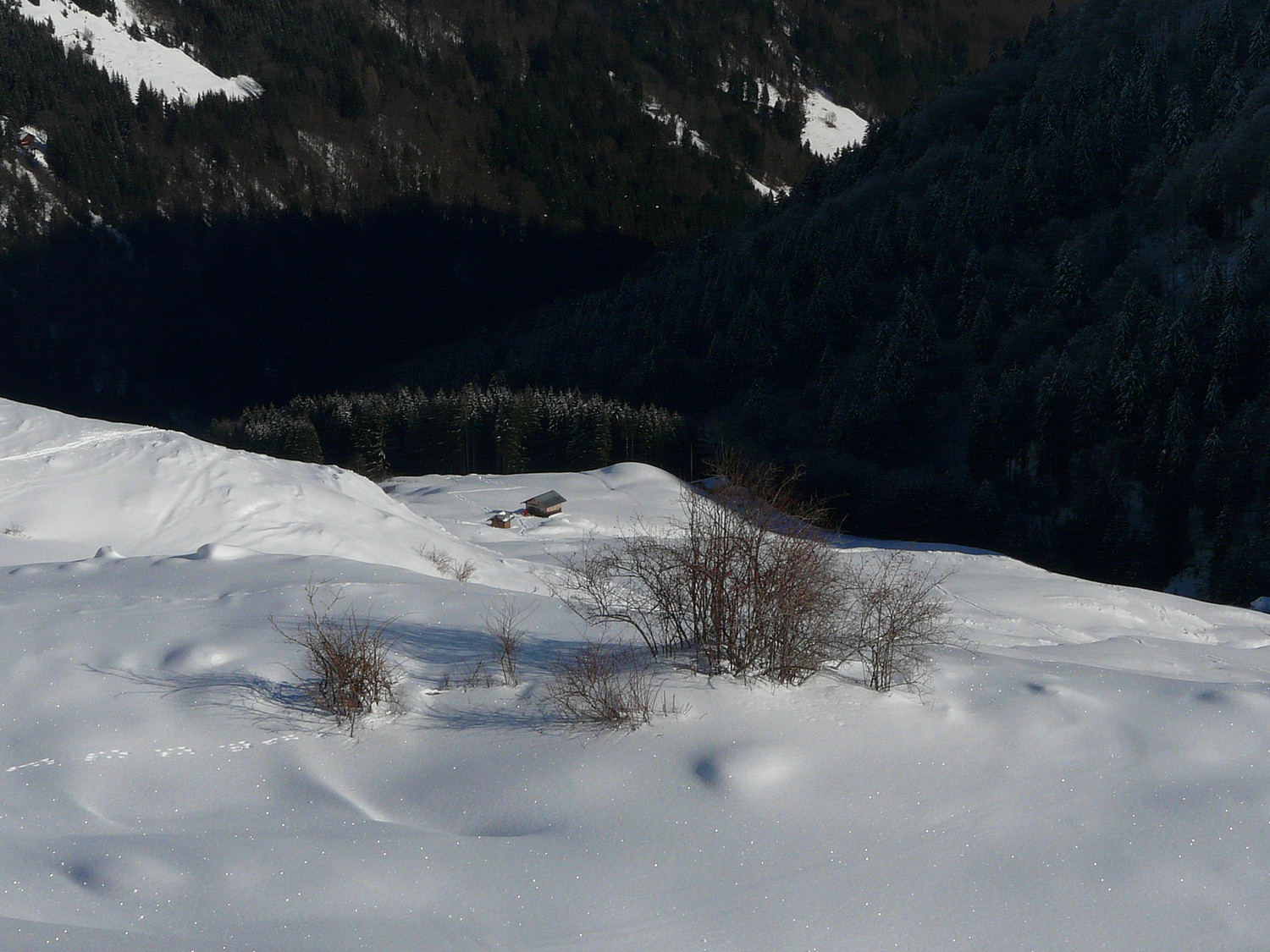 Les Joux