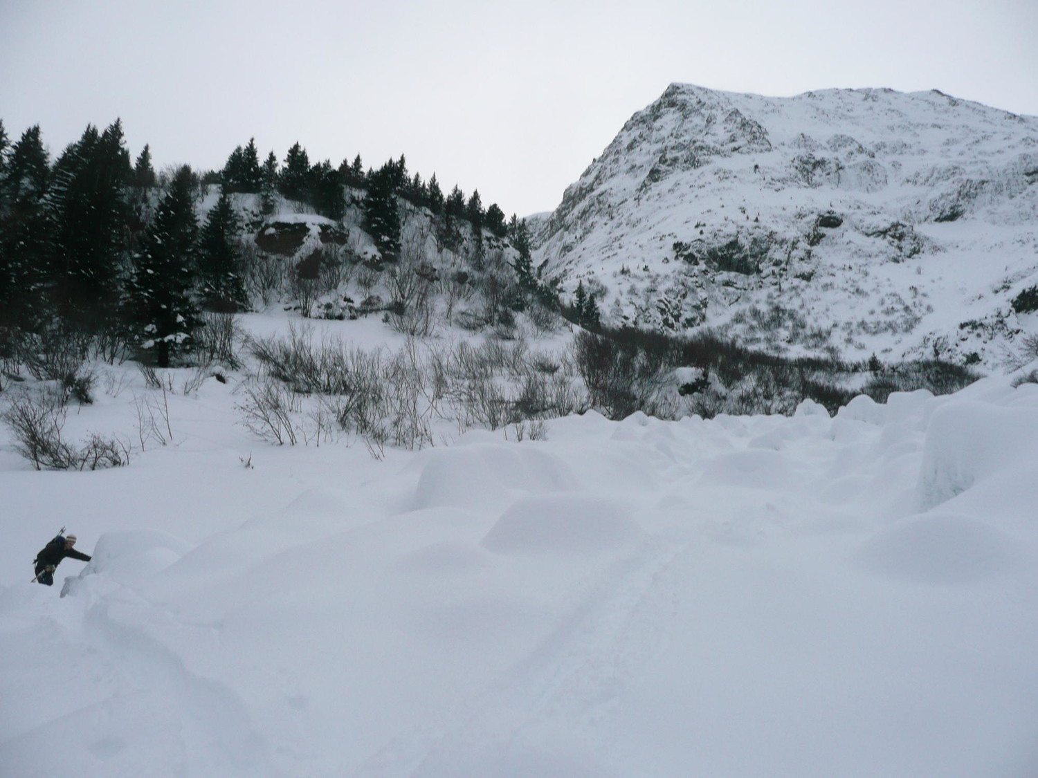 Dans le talweg après la descente