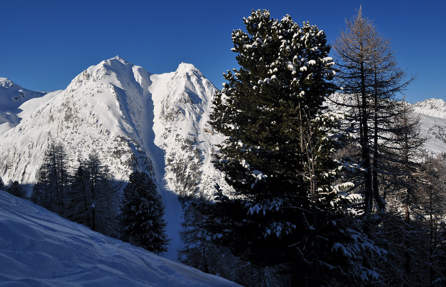 Fenêtre sur Bavon et Bec Rond