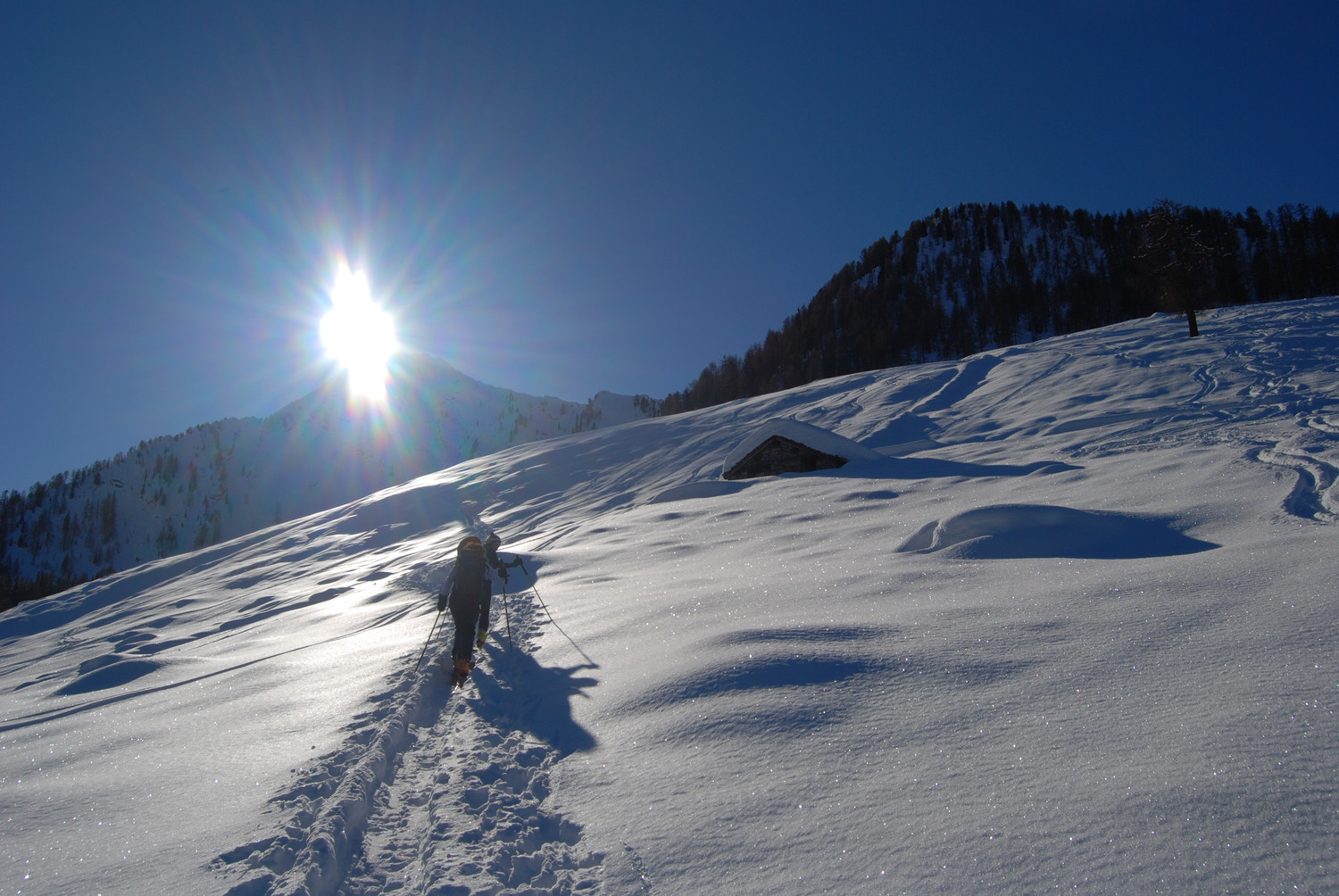 Salita all'Alpe Gavet, con il Doss Tacher 2093 m a destra.