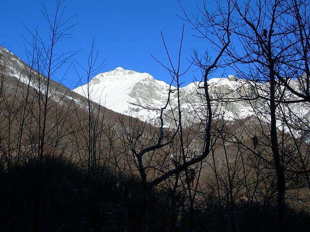 Pania della Croce