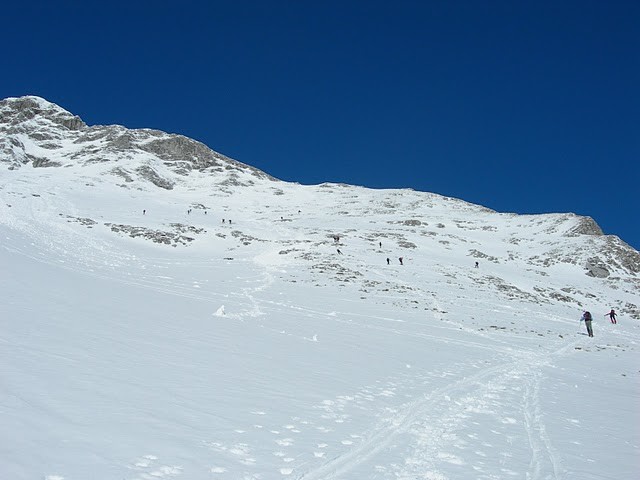 Costa Pulita