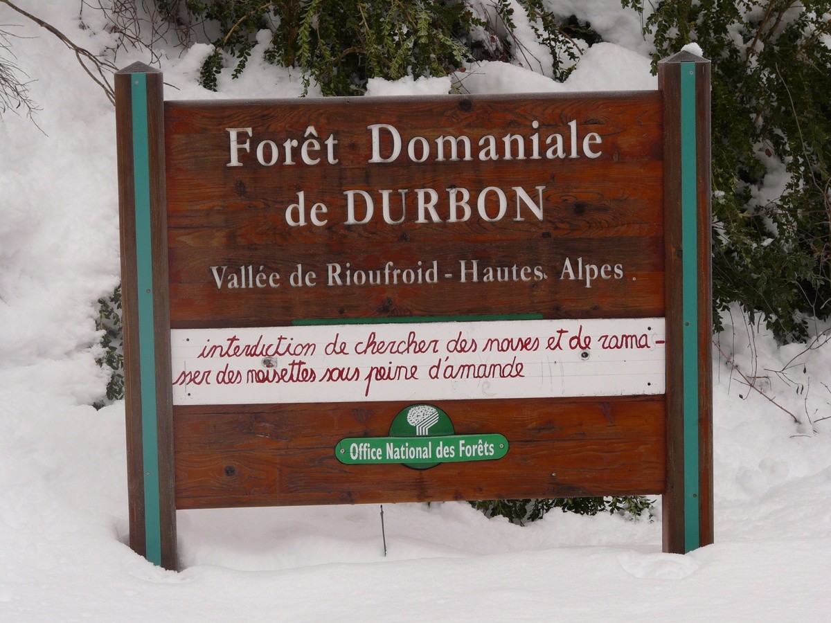 Entrée dans la forêt de Durbon