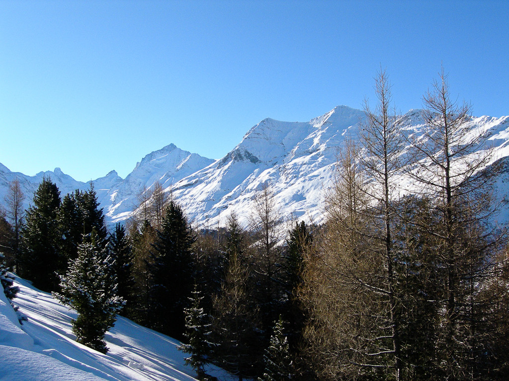 Au-delà de la forêt, la Couronne Impériale...
