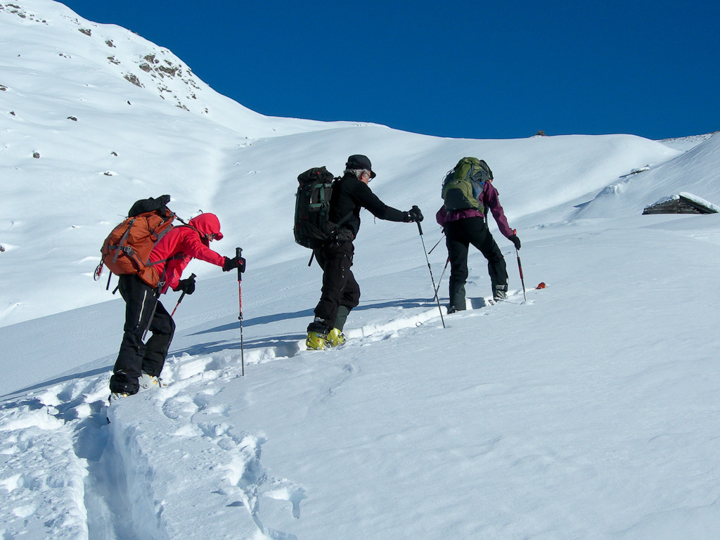 3 compagnons de course qui brassent la neige...