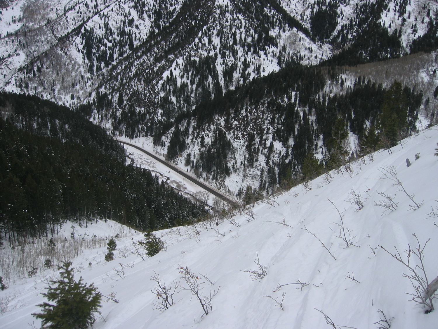 Argenta slide path