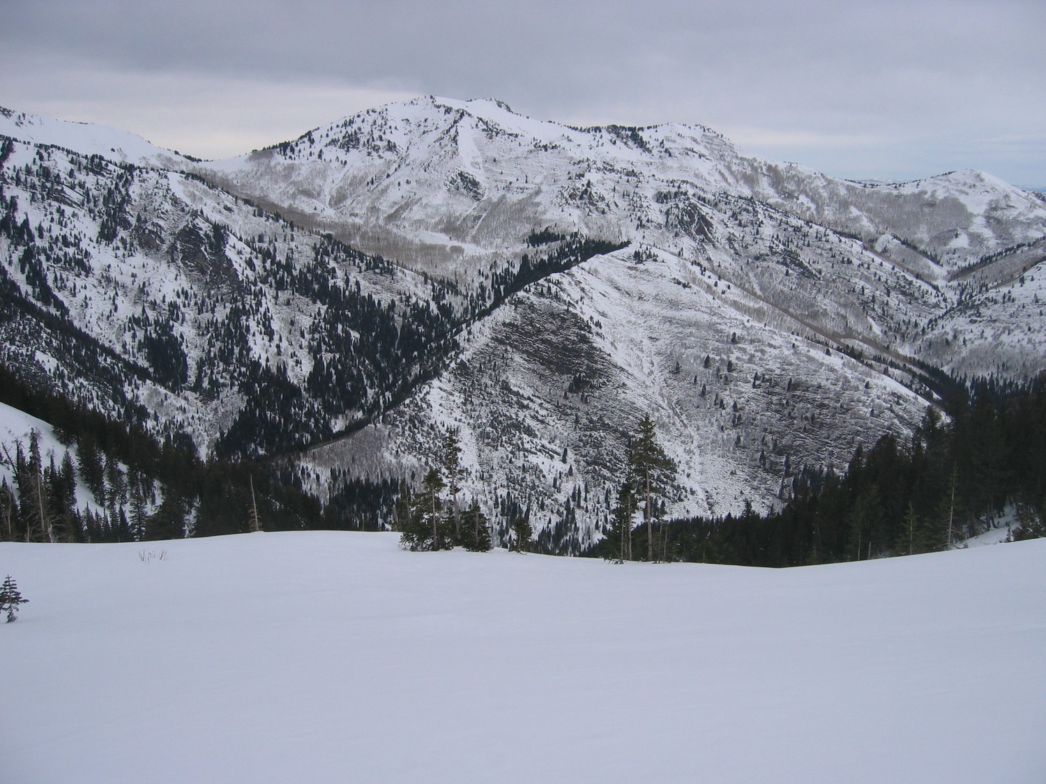 Gobblers Knob: visto dal BCC