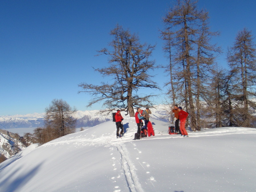 In sosta