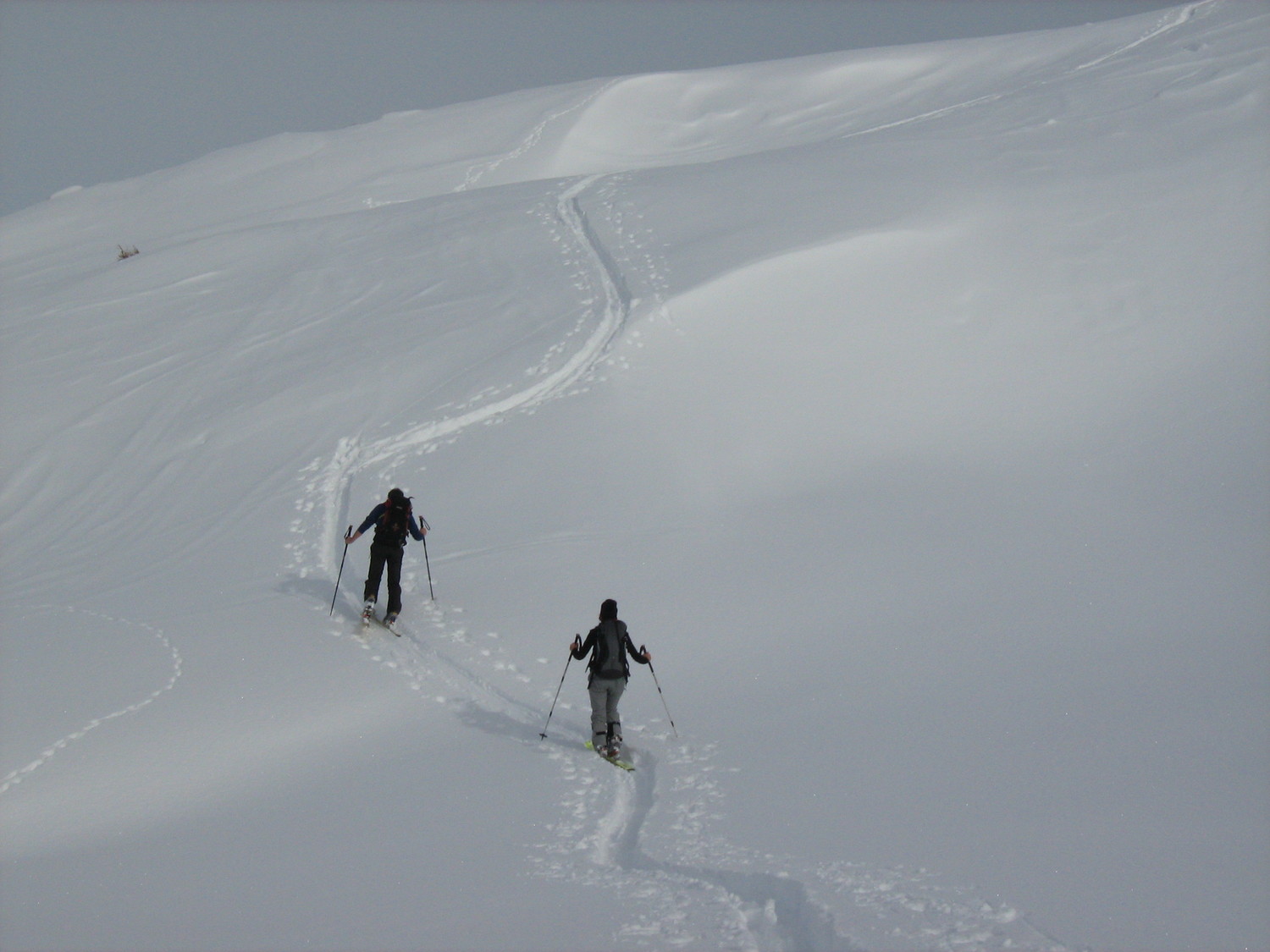 Verso la cima