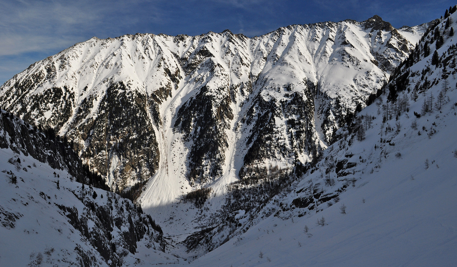 Genepi Ecandies depuis les Pétoudes