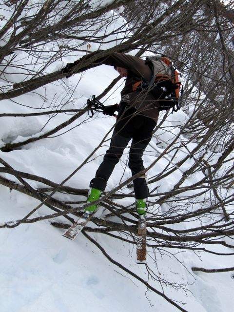 Loïc a testé pour vous : l'acro-ski-branches !