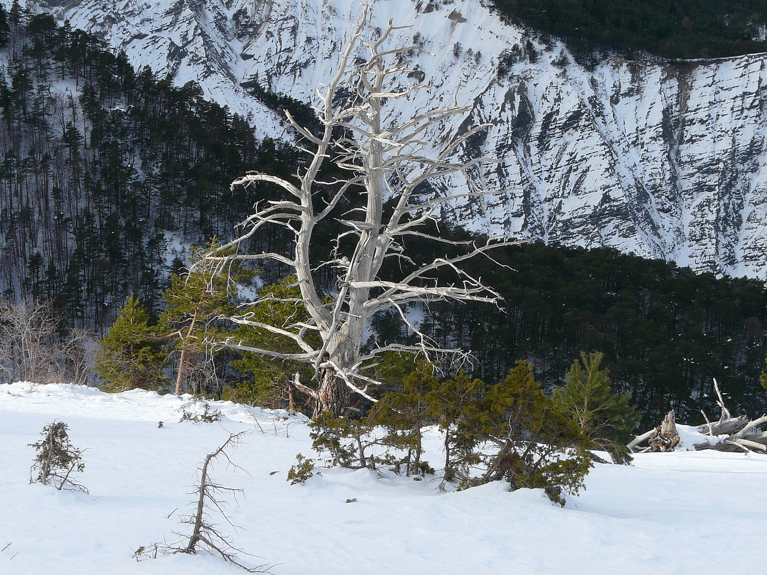 En montant peu avant le couloir du col de Talon