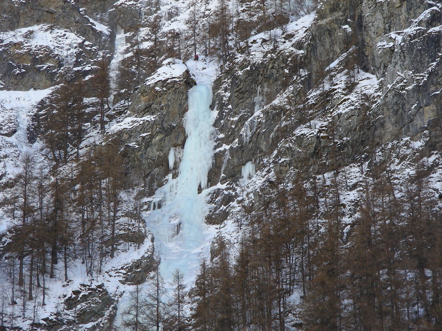 La croupe de la poufiasse