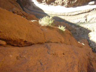 130 metres - A mi chemin de L4 - Vertical? 130 metres - A mi chemin de L4 - Vertical?