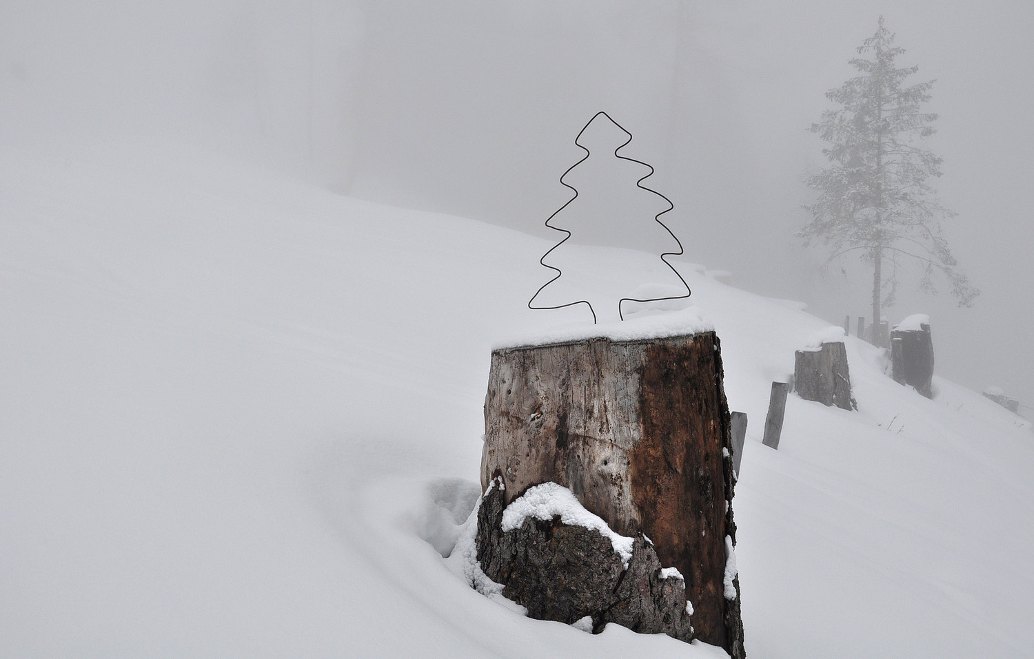 Sapin !