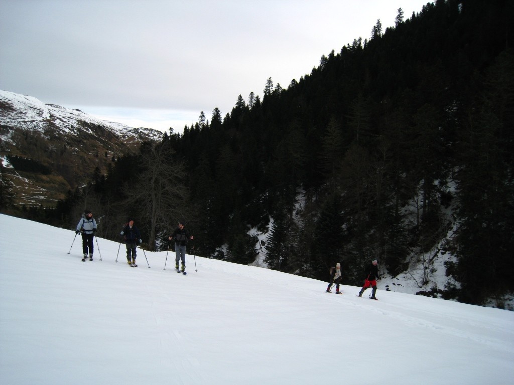 Début de l'iti, après la piste forestière