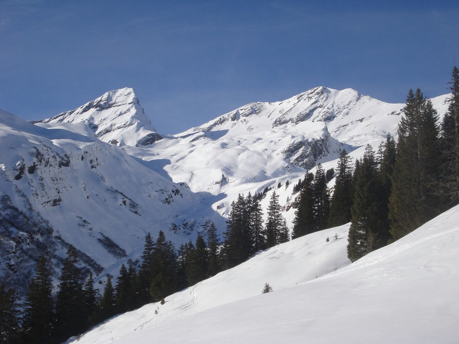 Le vallon de Pfannibach, dominé par le Schwarzhoren (2928m)