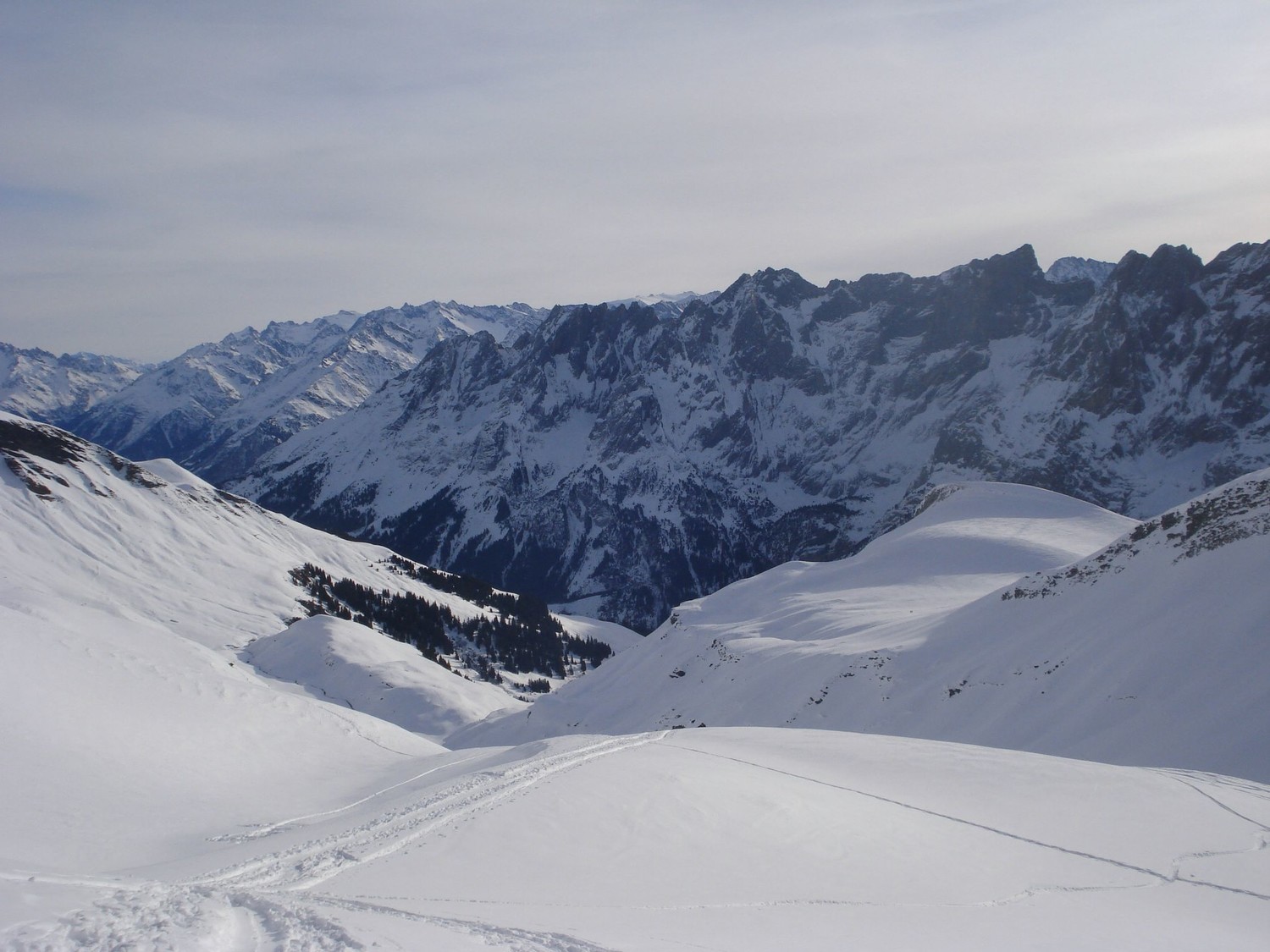 Vue sur la vallée Rosenlauital, dominée par l'Hengelhörner