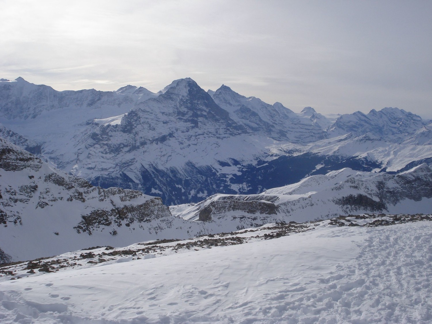 Sommet du Wildgärst : Fiescherhorn (4049m), Mönsch (4107m), Eiger (3970m) et ses 1800m de face N, Jungfrau (4158m)