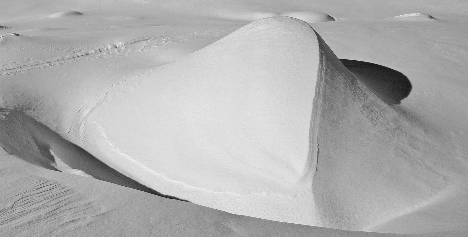 Dune