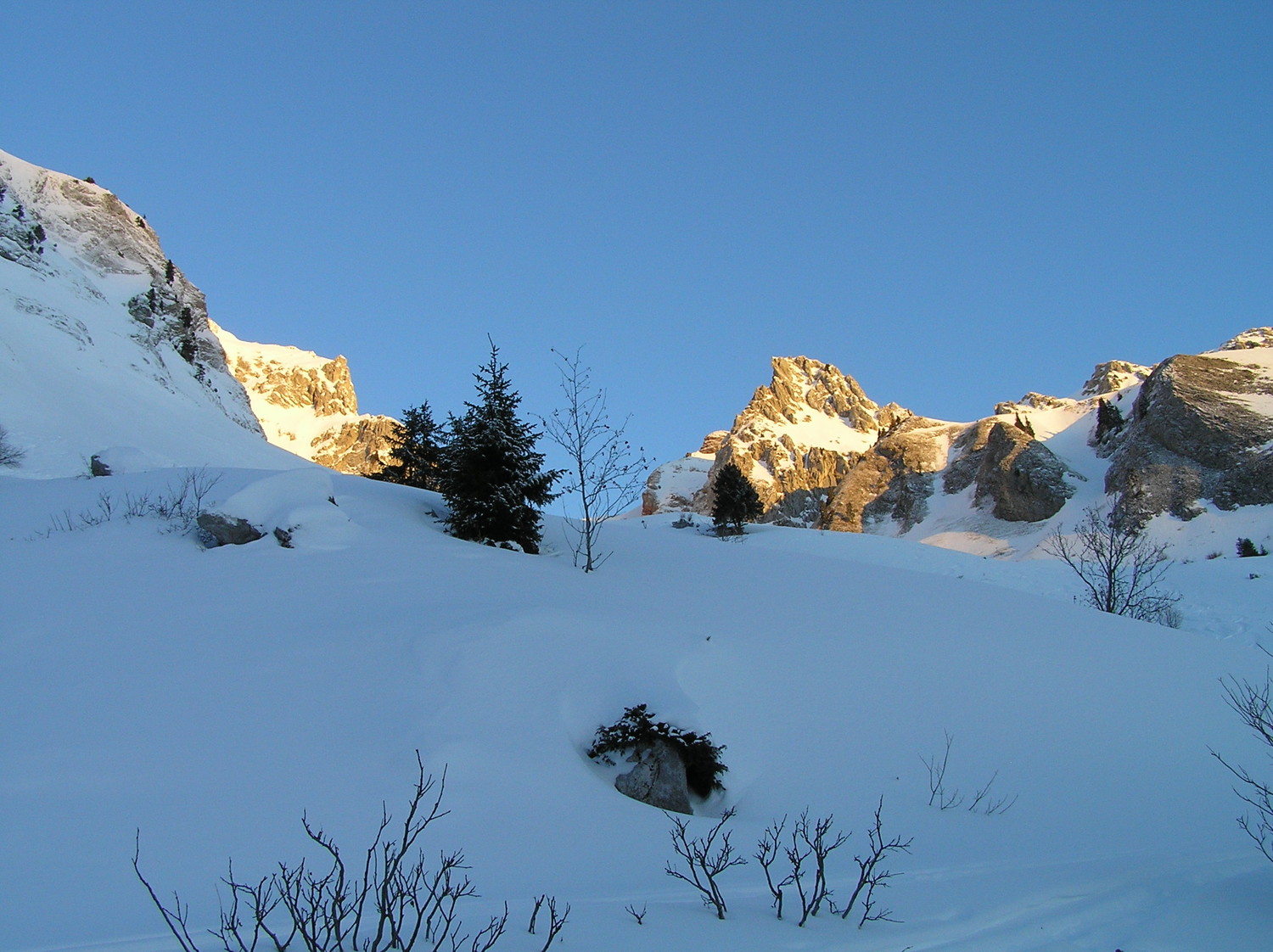 premiers rayons