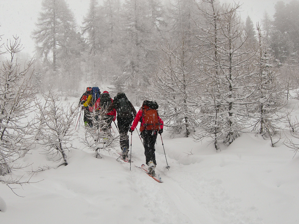 Groupe sous une fine neige...