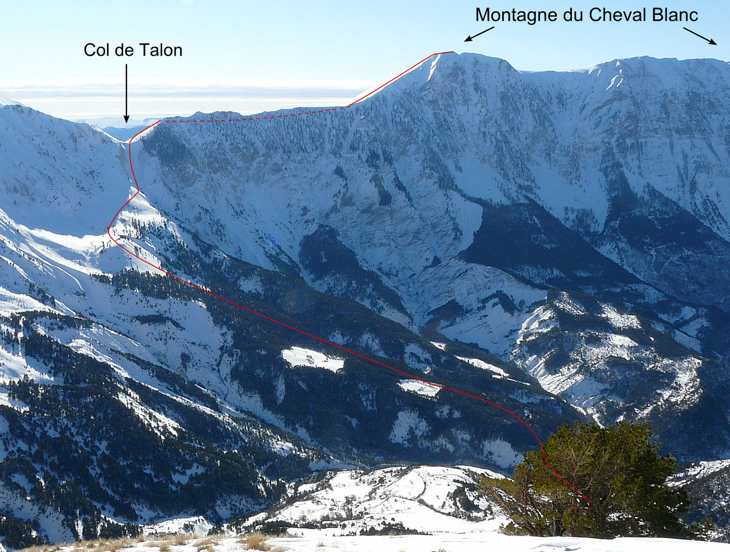 Montagne du Cheval Blanc (Digne)