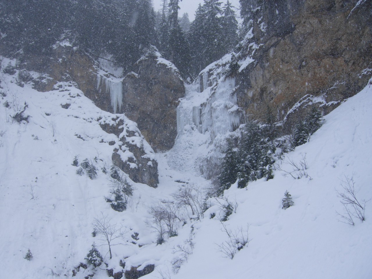 Morgins