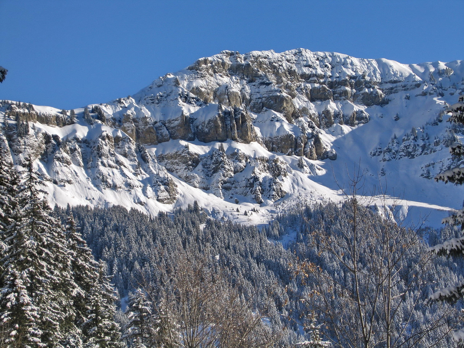 roche parstire fNW