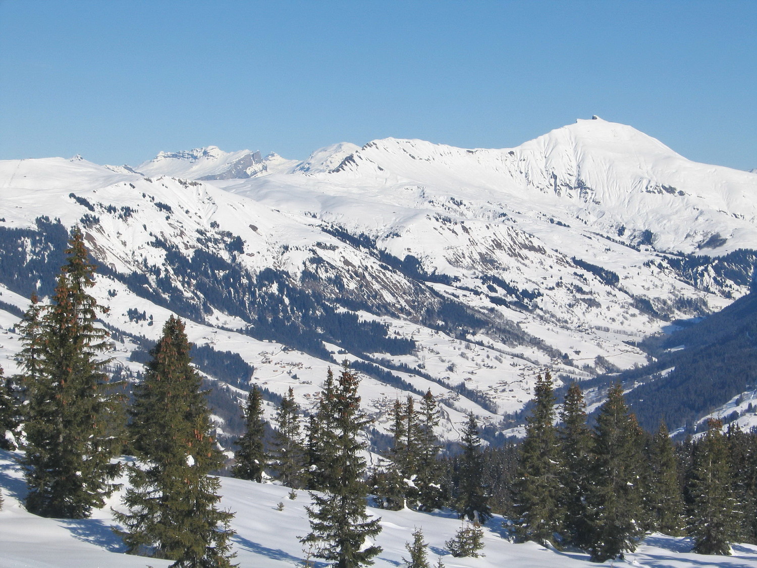 l'aiguille croche et les fiz