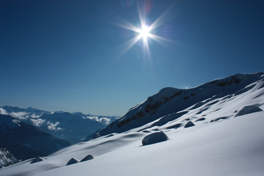 le soleil donne !