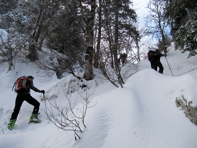 Dans la remontée vers l'oratoire d'Orgeval depuis les Cottaves, avant de sortir de la forêt : c'est raide !