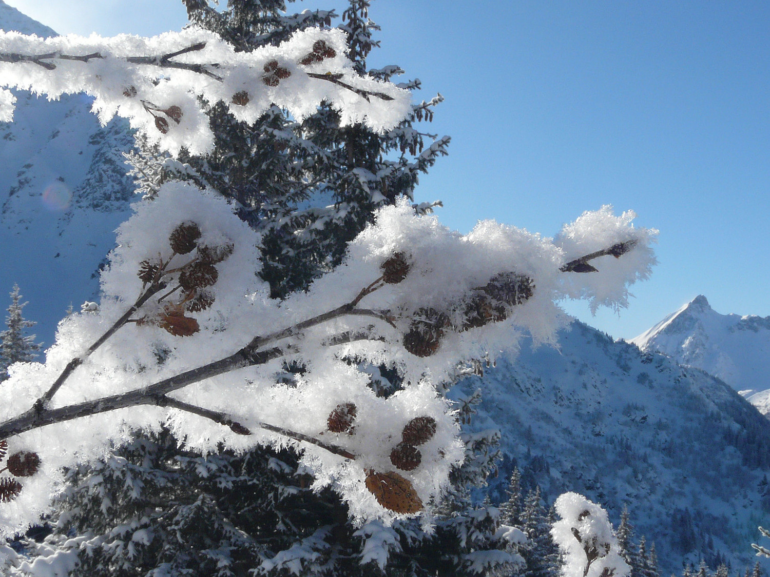Le froid est vif mais avec le soleil...