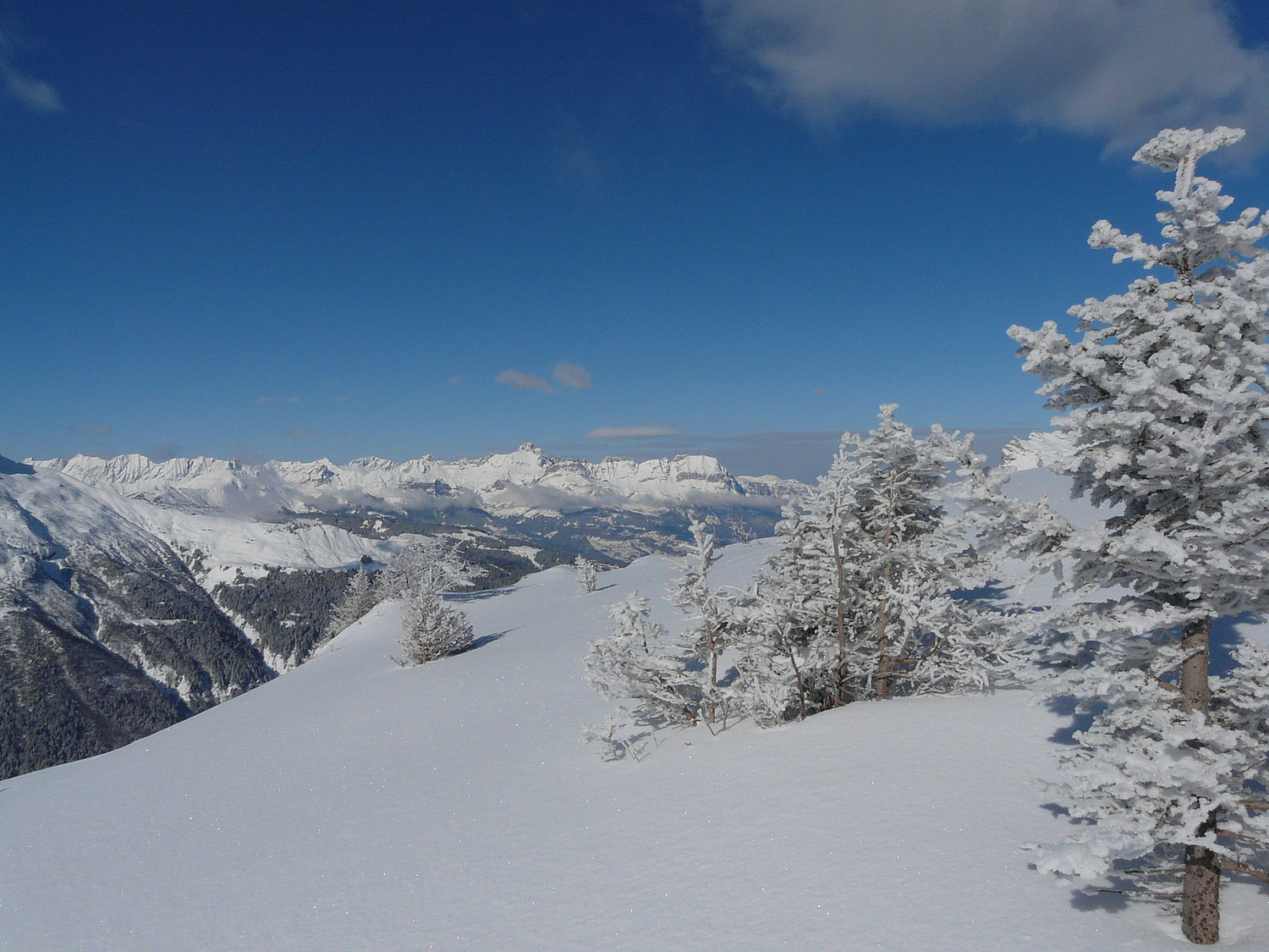 Les Aravis en fond