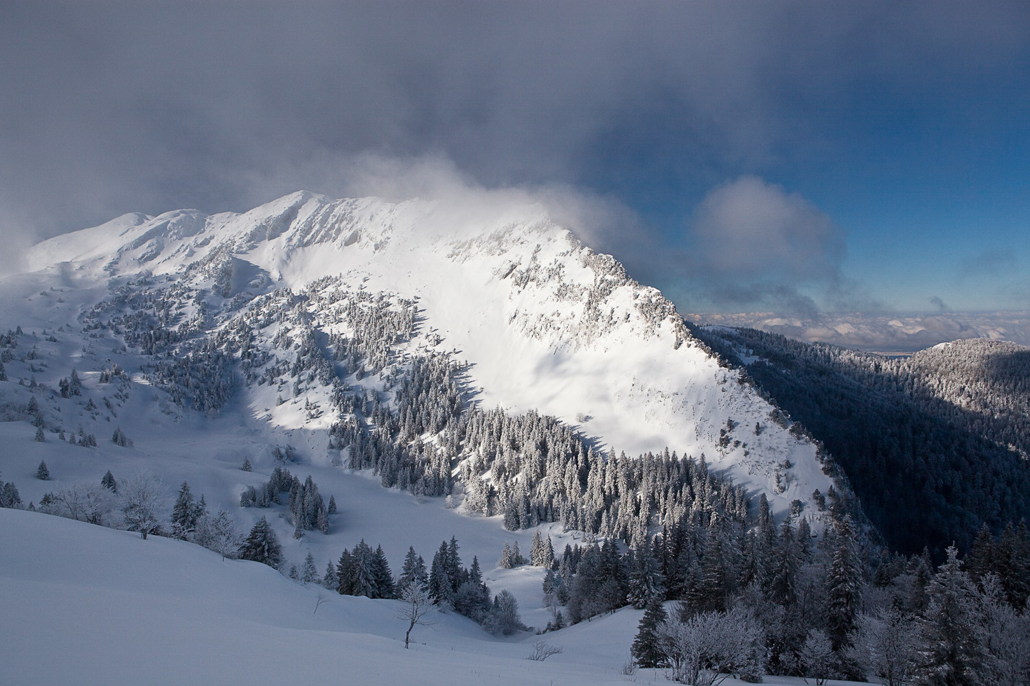 Grande Sure depuis le col de Charmille, le sommet est la derniere bosse