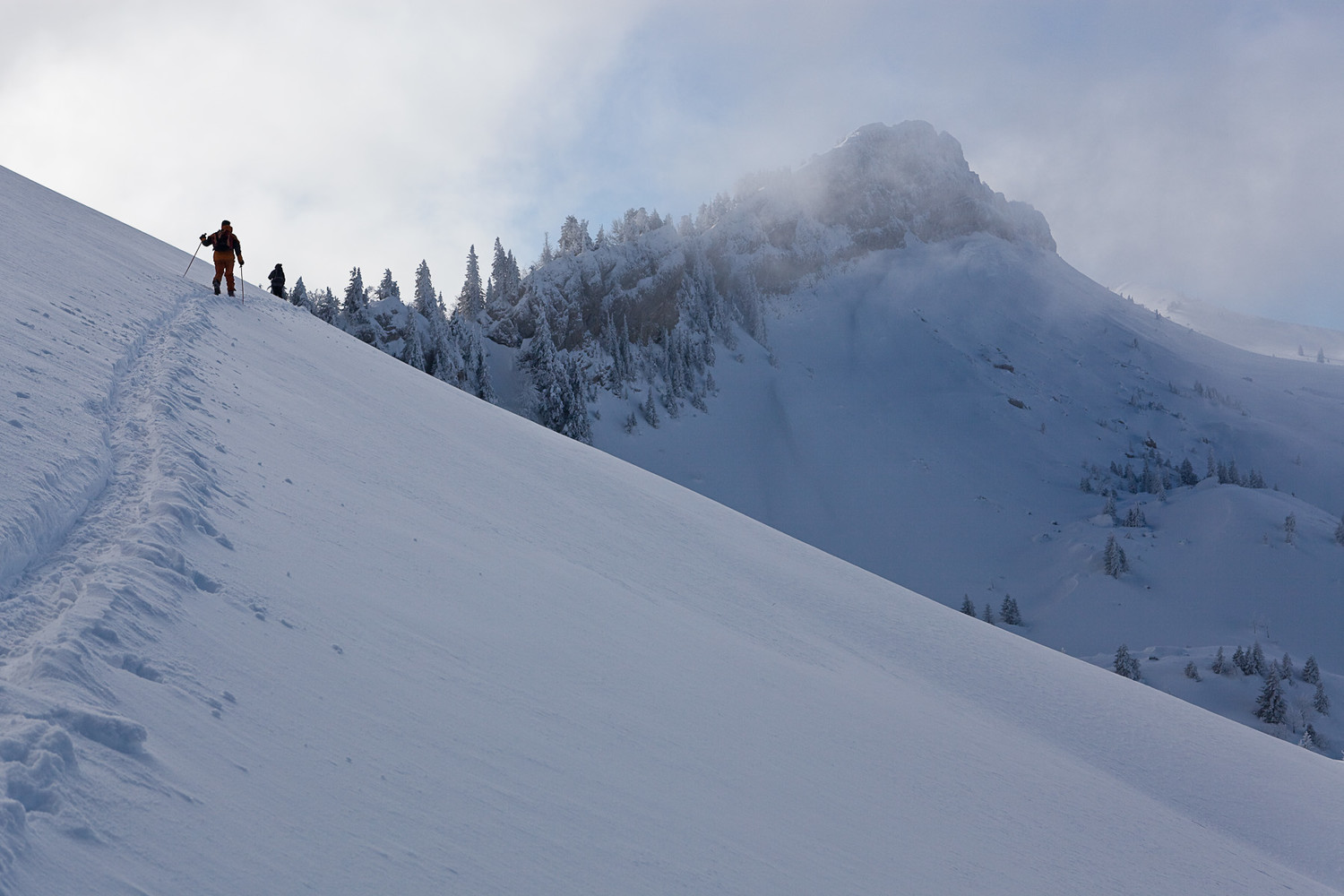 Sous le col de la petite vache