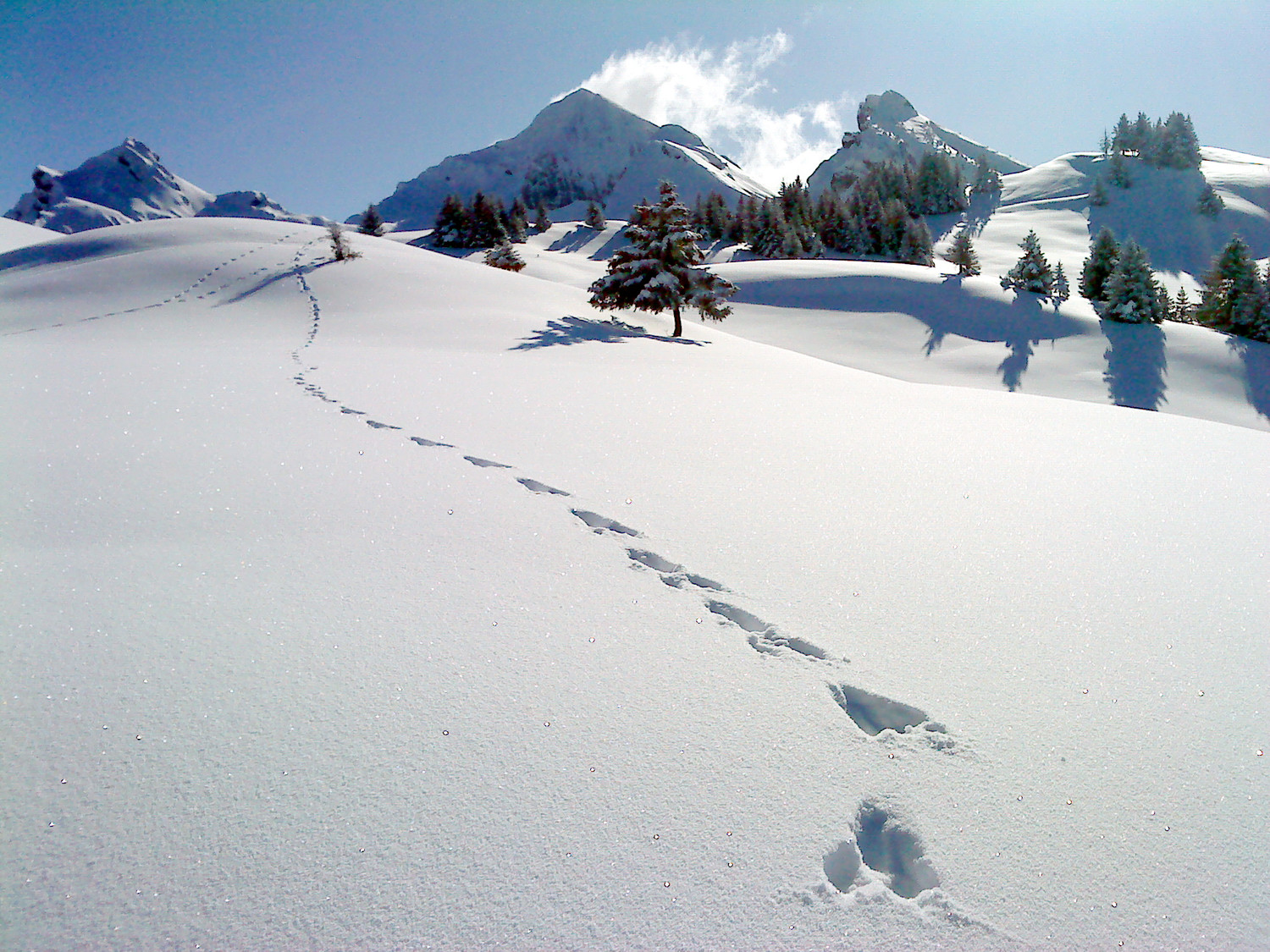 Le Charvin vu de la montée à Orsière