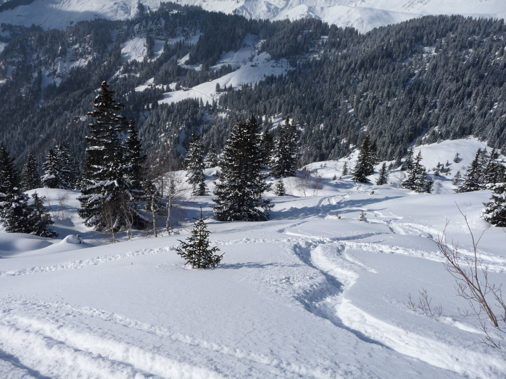 Descente au sommet du parking des troncs