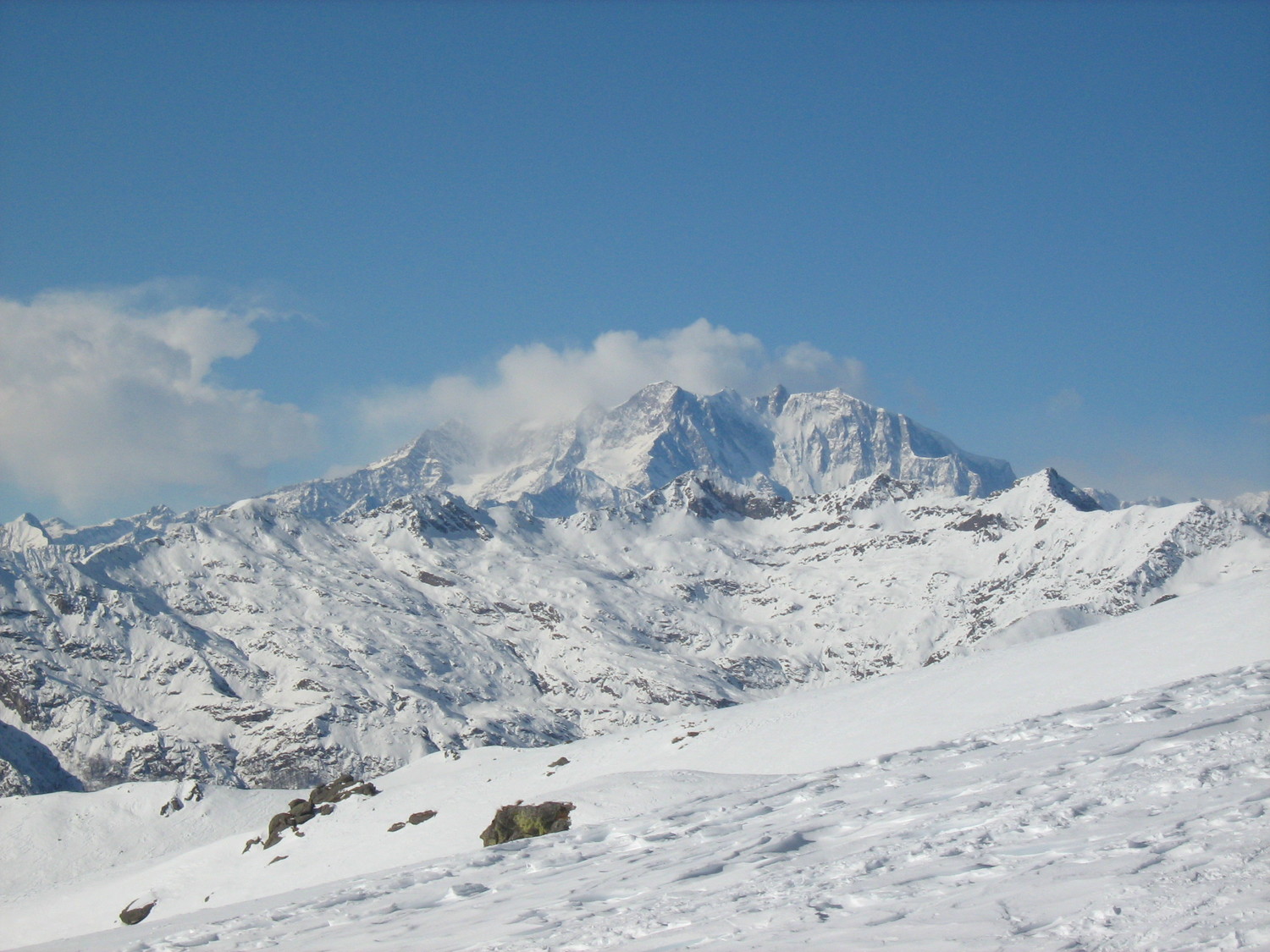 Il Rosa