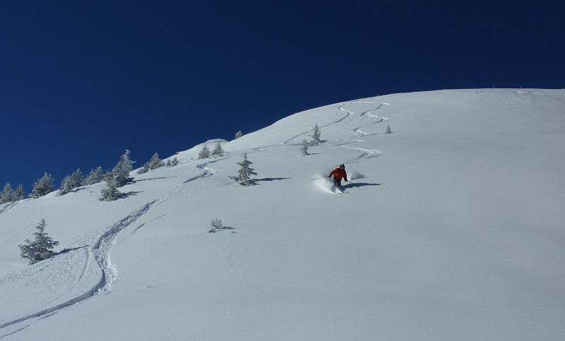 Grand Rocher : sur le haut du versant E
