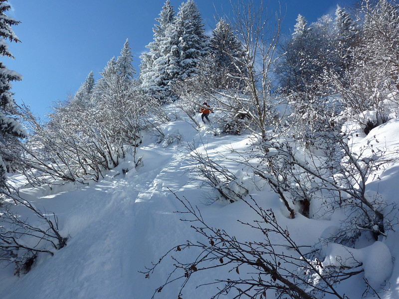Grand Rocher : sur le bas du versant E